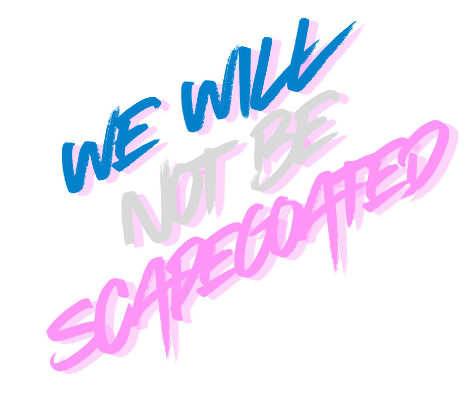 DON'T TOU DARE SCAPGOAT THE TRANS COMMUNITY